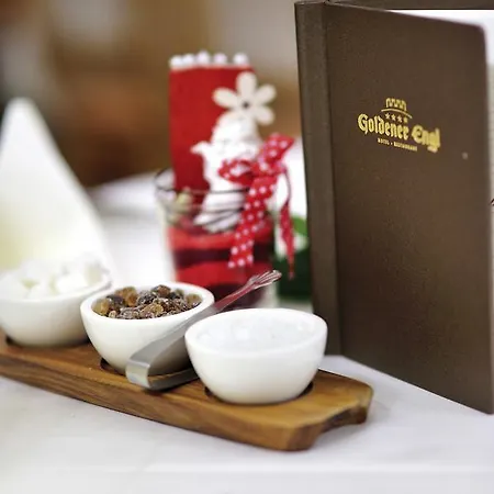 酒店 Goldener Engl 哈尔-蒂罗尔