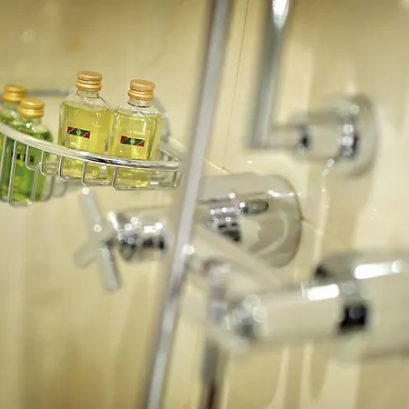 Goldener Engl 酒店